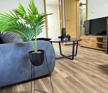 Soko Banja House | Apartmani Popivoda