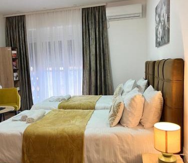 Valjevo Apartment | Apartmani Profesional Pajkovic