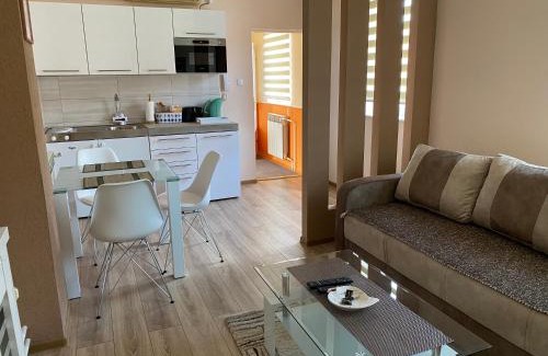 Vrsac Apartment | Apartmani Rajin
