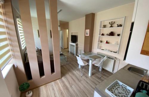 Vrsac Apartment | Apartmani Rajin