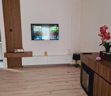 Leskovac Apartment | Apartmani relax