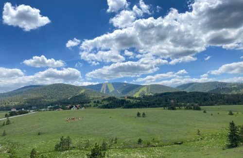 Zlatibor Apartment | Apartmani Ribnica Tornik