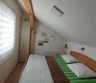 Kraljevo Apartment | Apartmani S - DSN