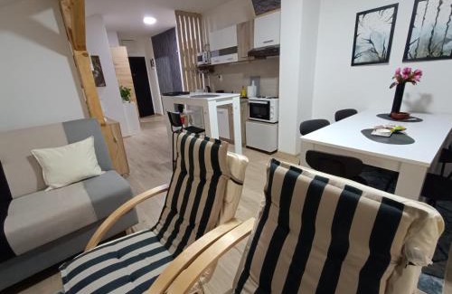 Kraljevo Apartment | Apartmani S - DSN