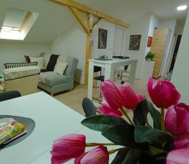 Kraljevo Apartment | Apartmani S - DSN