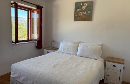 Kneza Apartment | Apartmani Tonko