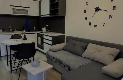 Jagodina Apartment | apartmanjagodinaana 2