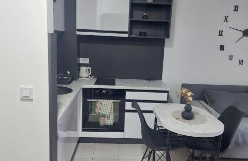 Jagodina Apartment | apartmanjagodinaana 2