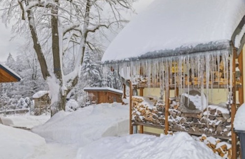 Altenberg House | Apartment Kahleberg