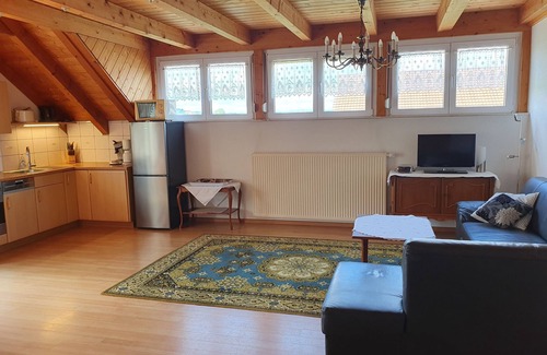Endingen am Kaiserstuhl Apartment | Apartment 56sqm, 1 bedroom, 1 living/bedroom, max. 3 persons, 1 - 3