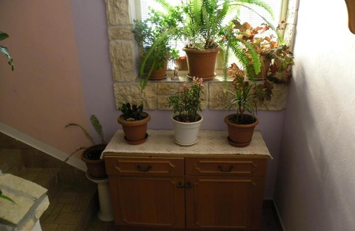 Bilice Apartment | Apartmens Zara