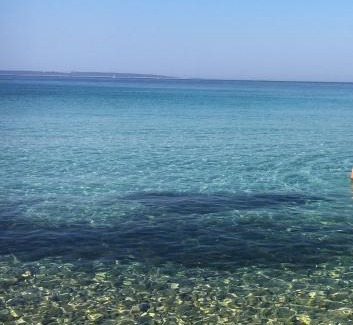 Silba Apartment | APARTMENT ŽUŽI Otok Silba Hrvatska