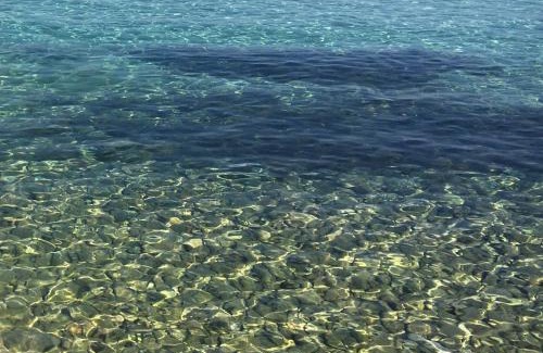 Silba Apartment | APARTMENT ŽUŽI Otok Silba Hrvatska