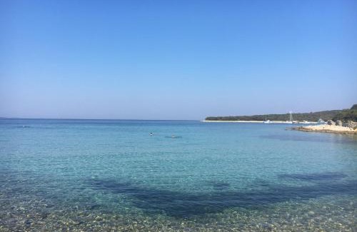 Silba Apartment | APARTMENT ŽUŽI Otok Silba Hrvatska