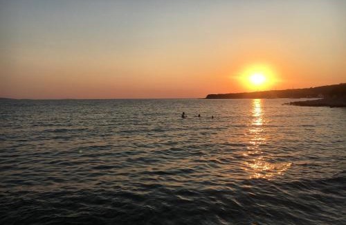 Silba Apartment | APARTMENT ŽUŽI Otok Silba Hrvatska