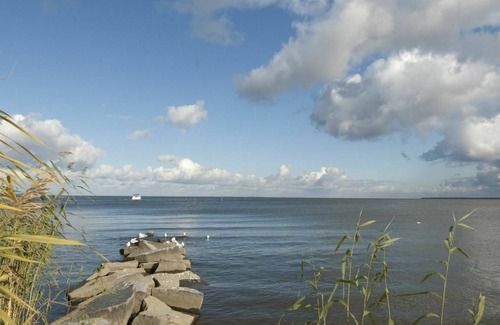 Ueckermuende Apartment | Apartment ∙ 1 bedroom ∙ 2 guests