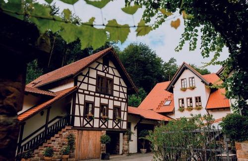 Klingenmuenster Apartment | Apartment 1 - Winery-Guesthouse Porzelt