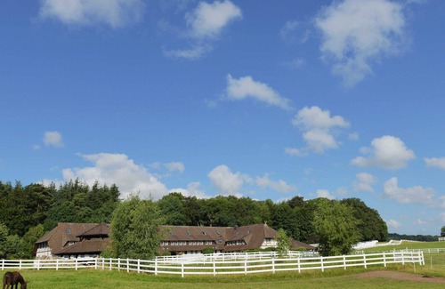 Ralswiek Apartment | Apartment. 10 - Horse Rally Ralswiek