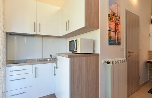 Rovinj Apartment | Apartment 1049