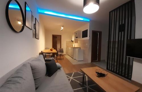 Bajina Basta Apartment | Apartment 12-09