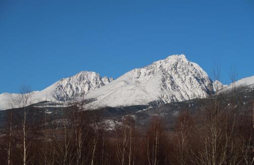 Velky Slavkov Apartment | Apartment 55 Tatry