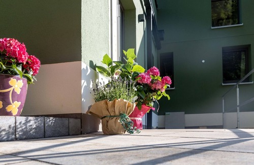 Sebnitz Apartment | Apartment 9, 1 bedroom - Holiday apartments in the Waldhaus Sebnitz