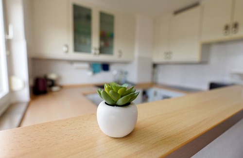 Weinheim Condo | Apartment above the mountain road