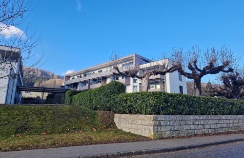 Altmuenster Apartment | Apartment Altmünster mit Traunsteinblick
