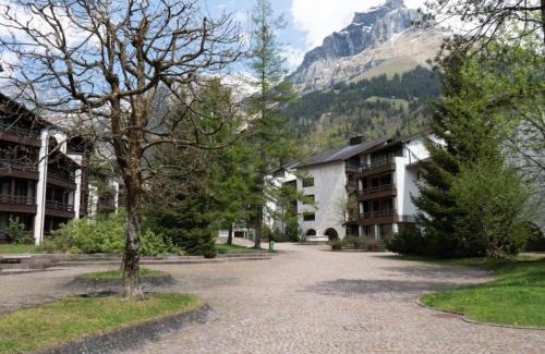Engelberg Apartment | Apartment Am Dürrbach 1-113 by Interhome