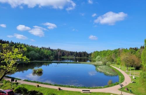 Hahnenklee Apartment | Apartment am Kranichsee Vier Jahreszeiten