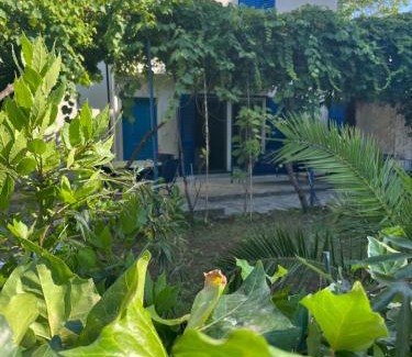 Donja Lastva Apartment | APARTMENT AMBLI HOUSE