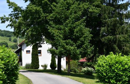 Seliste Dreznicko House | Apartment and Rooms Ivancica