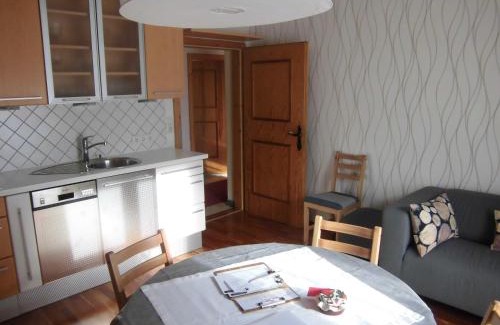 Viehhofen Apartment | Apartment Anna