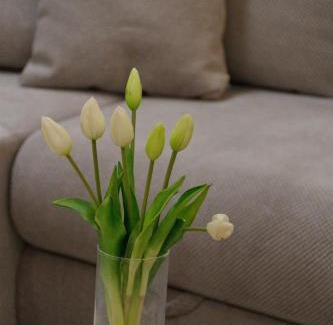 Velika Gorica Apartment | Apartment Anna - FREE Pickup from OR Dropoff to Zagreb airport AT ANY TIME, please give three days advance notice - Long-term parking with airport transport possibility