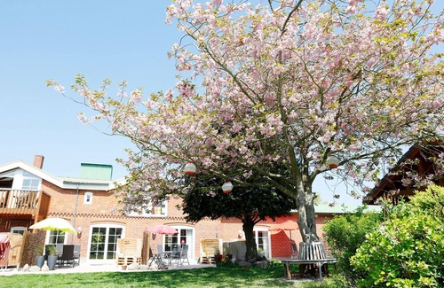 Lemkendorf Apartment | Apartment/app. for 5 guests with 72m² in Fehmarn (77423)