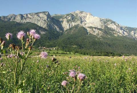 Notsch im Gailtal Apartment | Apartment for 5 persons approx. 50 m² in Nötsch, Carinthia (Dobratsch)