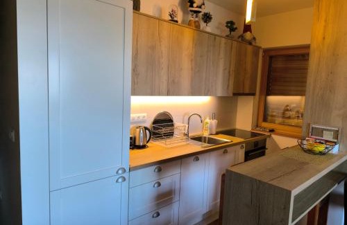 Bjelasnica Apartment | Apartment Babin Do