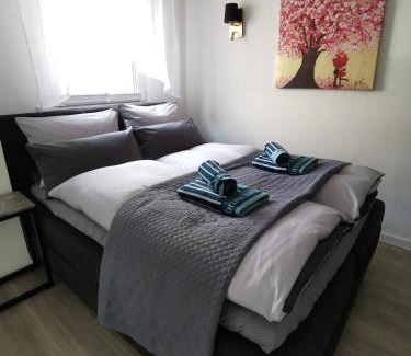 Hassels Apartment | Apartment bei der Palme mit Sauna Möglichkeit