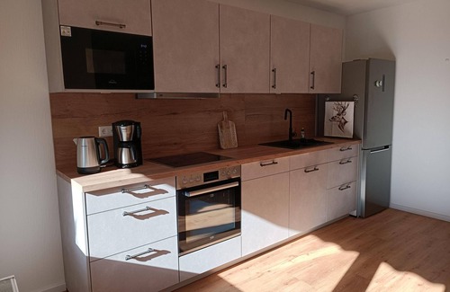 Bockswiese Apartment | Apartment Berglodge Harz