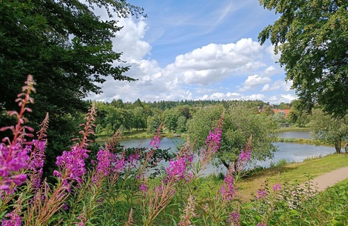 Bockswiese Apartment | Apartment Berglodge Harz