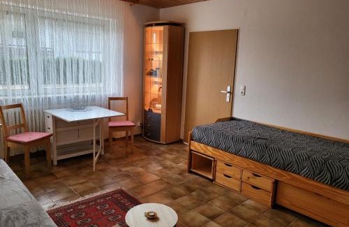 Kaiserslautern Apartment | Apartment Betzenberg, nur Netflix