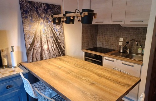 Station de Drouzin le Mont Apartment | Apartment Biot, 1 bedroom, 4 persons