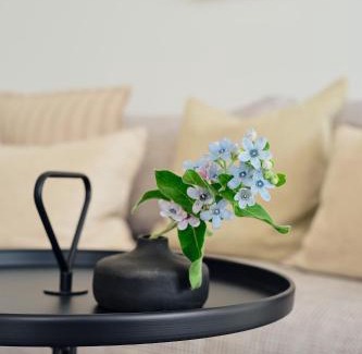 Zirchow Apartment | Apartment C 3 "Pine Hill Resort"