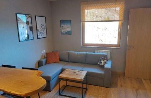 Jahorina Apartment | Apartment C519 - Aparthotel Vučko Jahorina - Private Host