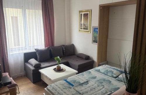 Downtown Apartment | Apartment Centar