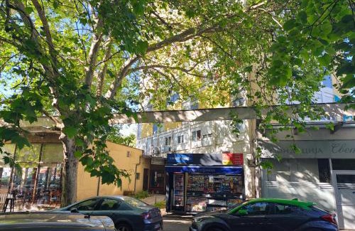 Downtown Apartment | Apartment Centar
