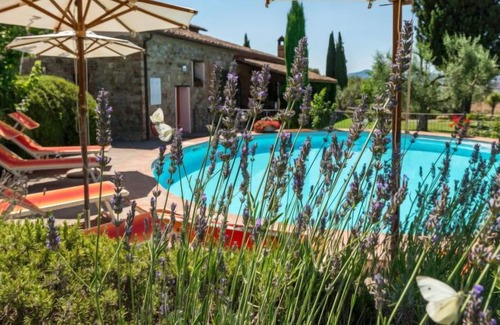 Campagnatico Apartment | Apartment Cielo Stellato in Campagnatico - 4 persons, 2 bedrooms