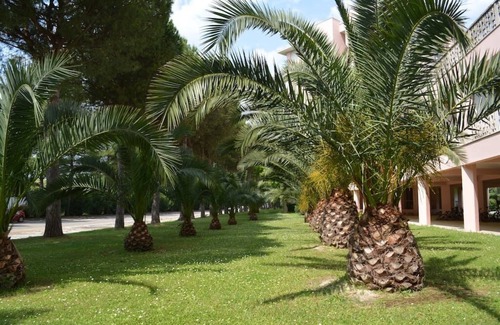 Marcelli Apartment | Apartment close to the sea, with swimming pools and park: ConeroMareRelax