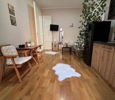 Terazije Apartment | Apartment Dana