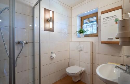 Niederau Apartment | Apartment Daniela-1 by Interhome